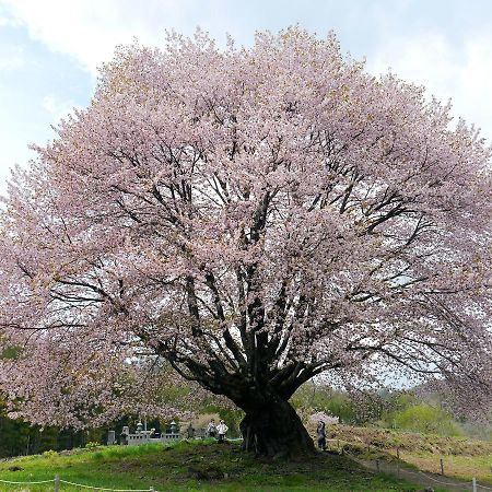 Pension Green Field Katashina Εξωτερικό φωτογραφία